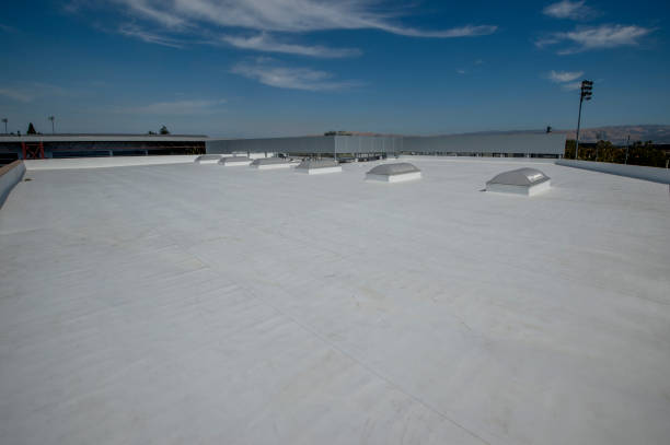 Best Roof Ventilation Installation  in South Gull Lake, MI